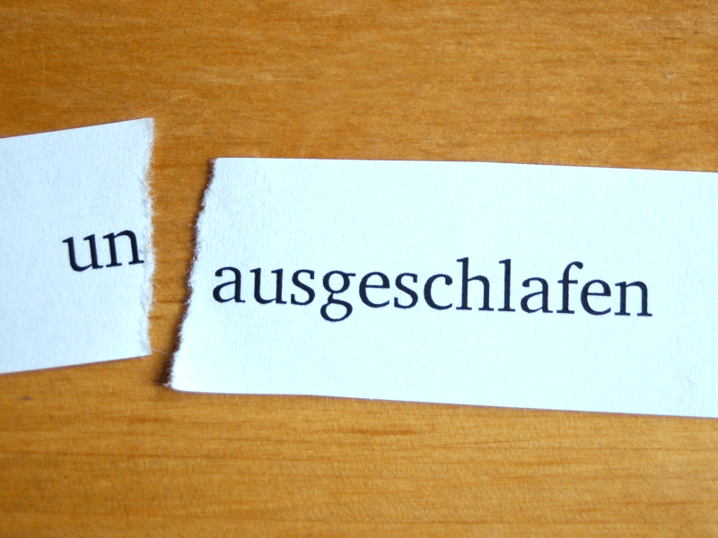 NOTPROGRAMME: Was das Gehirn macht, wenn es Schafmangel&nbsp;bemerkt