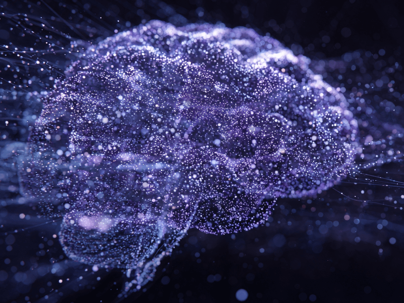 JEDER MENSCH HAT 10 GEHEIMNISSE: Warum unser Geist immer wieder zu verborgenen Gedanken&nbsp;zurückkehrt